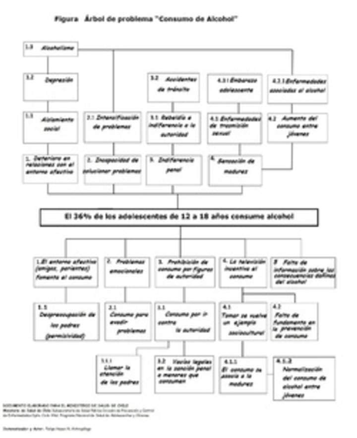 Mapa conceptual de problemas asociados con el alcohol elaborado por el ministerio de salud de chile