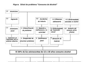 Mapa conceptual de problemas asociados con el alcohol elaborado por el ministerio de salud de chile