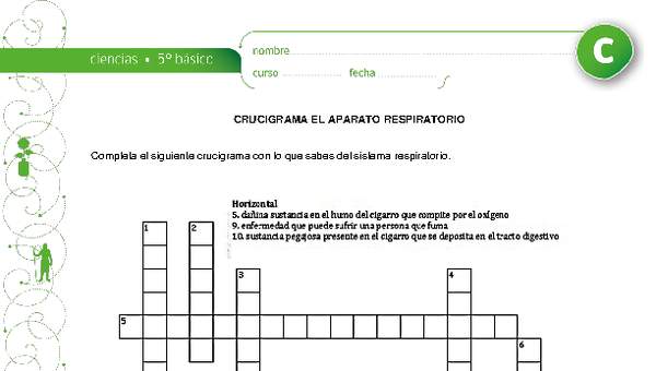 Crucigrama respiratorio