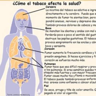 Infografía sobre como el tabaco afecta la salud