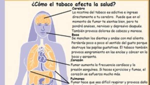 Infografía sobre como el tabaco afecta la salud