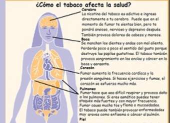 Infografía sobre como el tabaco afecta la salud