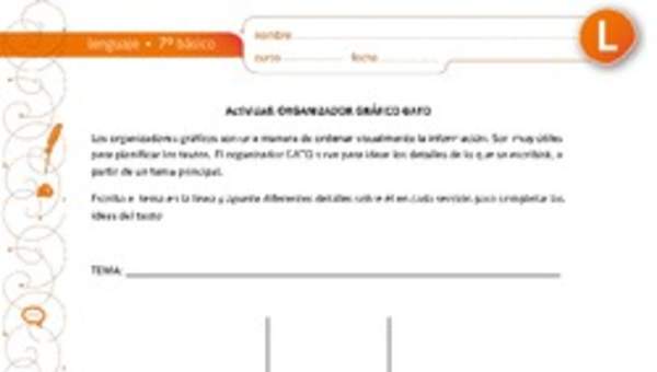 Organizador gráfico gato