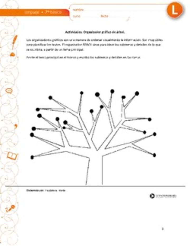 Organizador gráfico árbol
