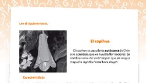 Investigación planta