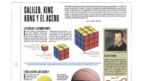 Galileo, King Kong y el acero