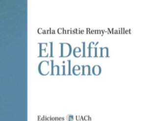 El delfín chileno