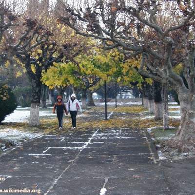 Nieve en Curacautín