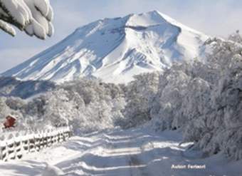 Volcán Lonquimay con nieve