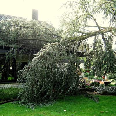 Tormenta de viento