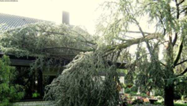 Tormenta de viento