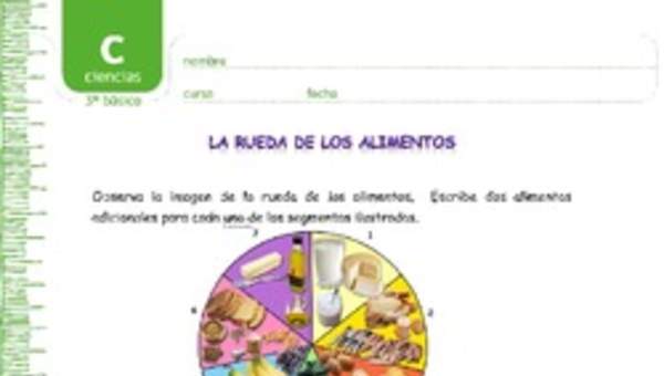 La rueda de los alimentos