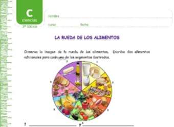 La rueda de los alimentos