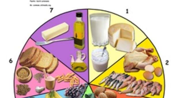 La rueda de los alimentos