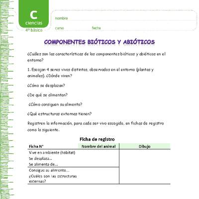 Componentes bióticos y abióticos en un ecosistema