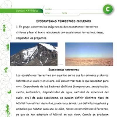 Ecosistemas chilenos