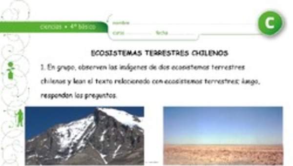 Ecosistemas chilenos