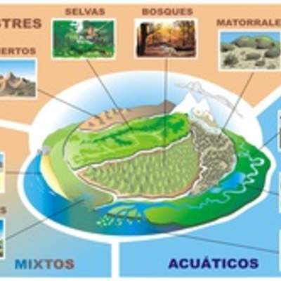 Tipos de ecosistemas