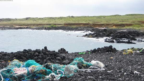 Contaminación en playa