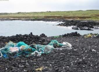 Contaminación en playa