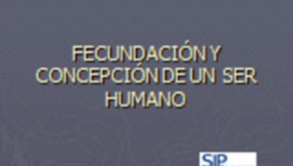 Fecundación y concepción de un ser humano