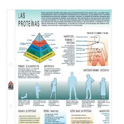 Proteínas