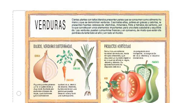 Verduras y legumbres