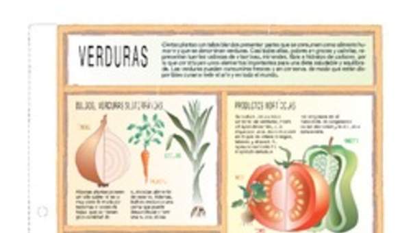 Verduras y legumbres