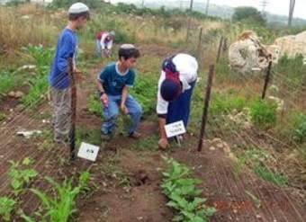 Niños de Israel