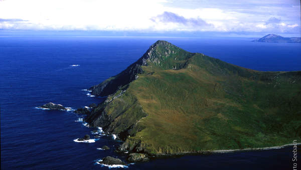 Cabo de Hornos