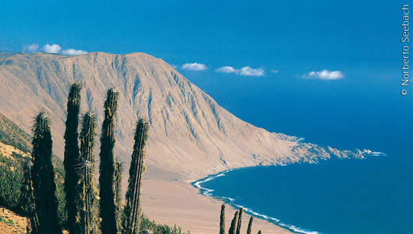 Pan de Azúcar