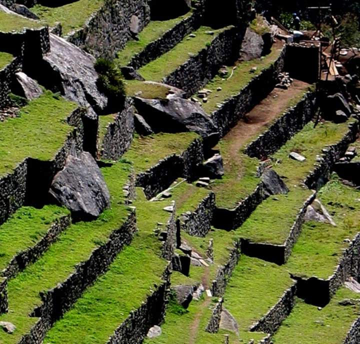 Terrazas de cultivo incas