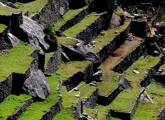 Terrazas de cultivo incas