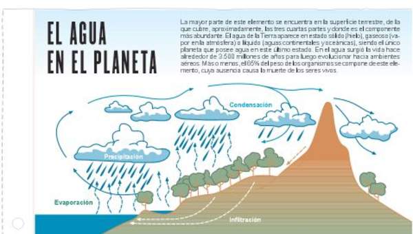 El agua en el planeta