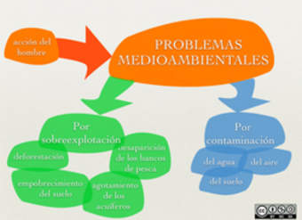 Problemas medioambientales