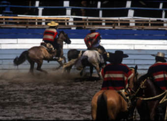 Rodeo