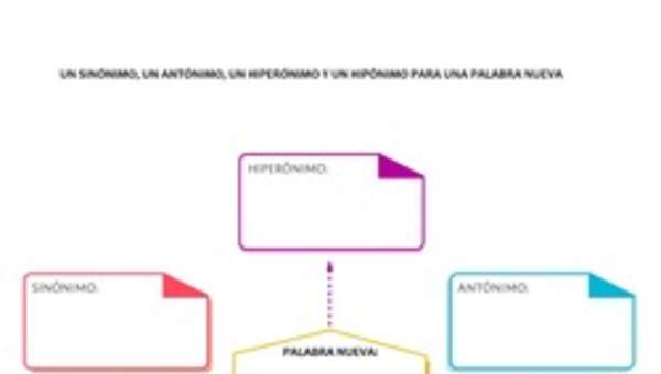 Sinónimo, antónimo, hiperónimo e hipónimo para una palabra nueva