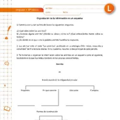 Organización de la información en un esquema