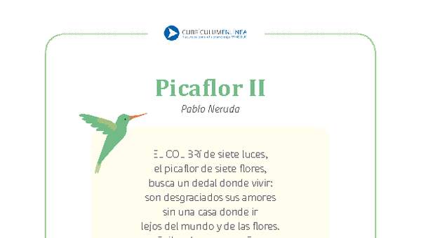 Picaflor