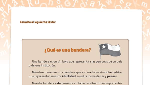 Texto informativo ¿Qué es una bandera?