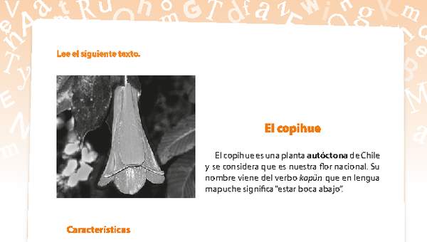 Comprensión El copihue - Curriculum Nacional. MINEDUC. Chile.