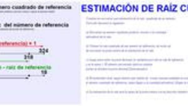 Estimación de raíces