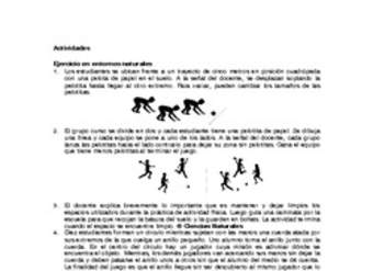 Actividades sugeridas Unidad 4