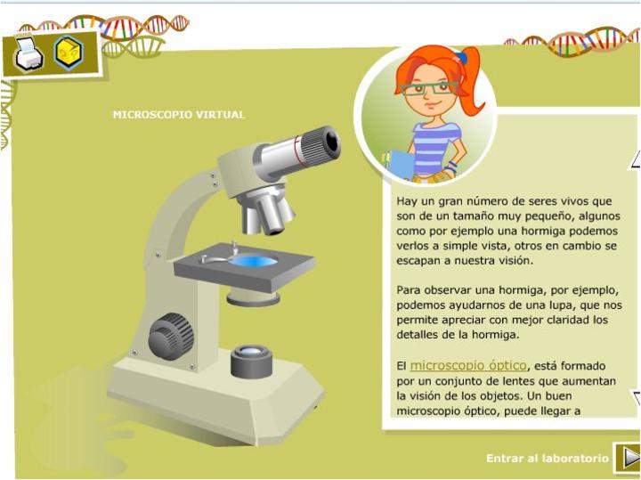 Microscopio virtual