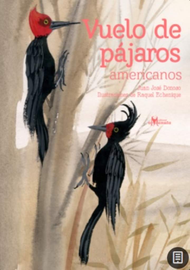 Vuelo de pájaros americanos