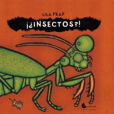 Insectos