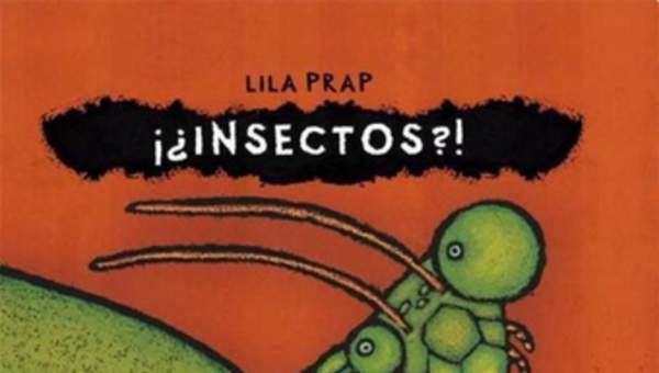 Insectos