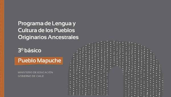 Programa de Estudio MAPUCHE 3° básico