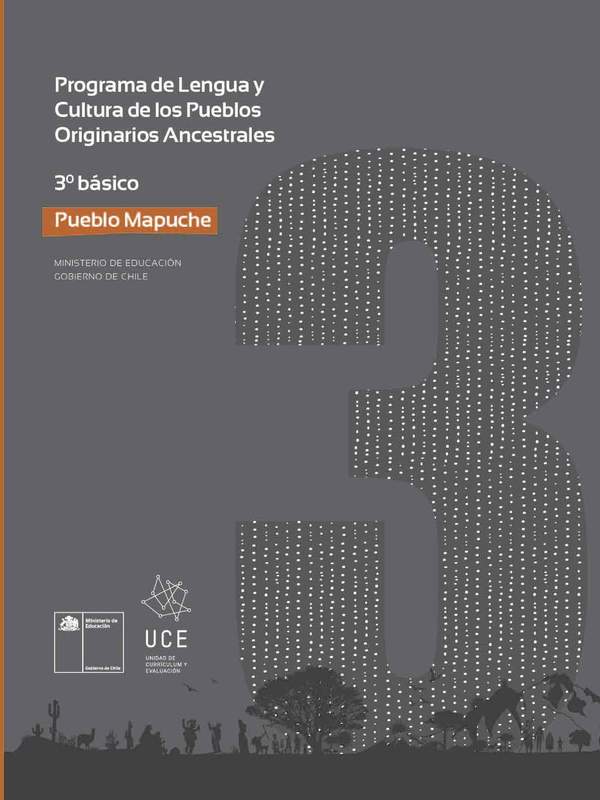 Programa de Estudio MAPUCHE 3° básico
