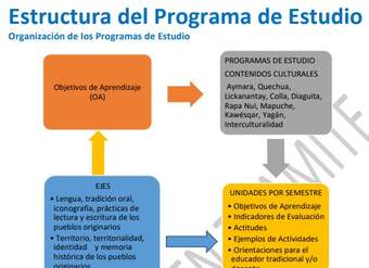 Nuevos programas de 4| básico de Lengua y Cultura de los Pueblos Originarios Ancestrales